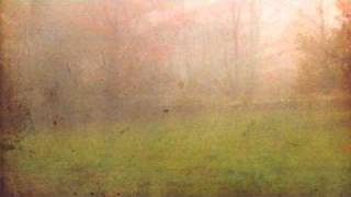 Avada Kedavra Reprise