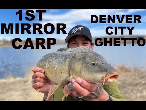 Urban Carp Fishing Colorado - DENVER GHETTO #carpfishing #urbanfishing #coloradofishing