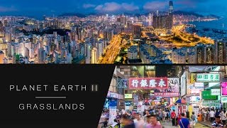 Hyperlapse of Hong Kong's city lights - Planet Earth II: Cities - BBC One