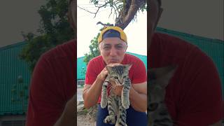 quem gosta de gatinho 🐱 #memes #comédia #family  #videosengraçados #humor #youtubeshorts #funny