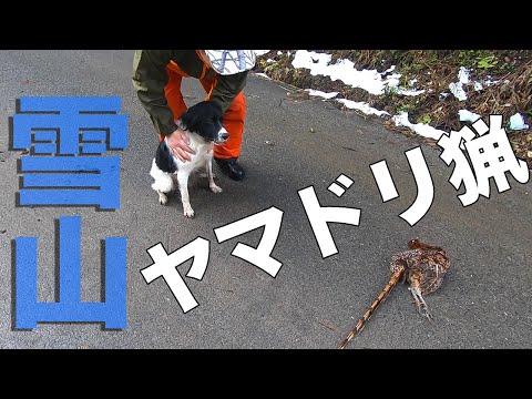 IUCN分類における絶滅の危険性を示す図。