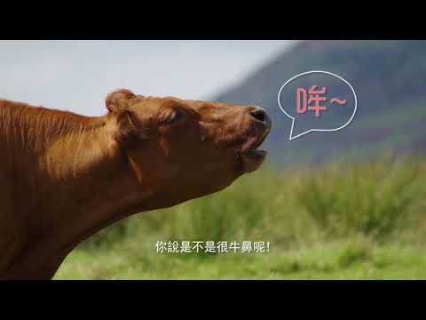 牛鼻環作用