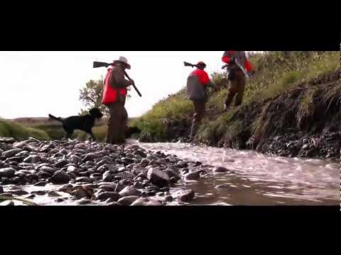 SDA Season 2 Trailer | Blue Spider Productions