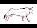 Running Bull