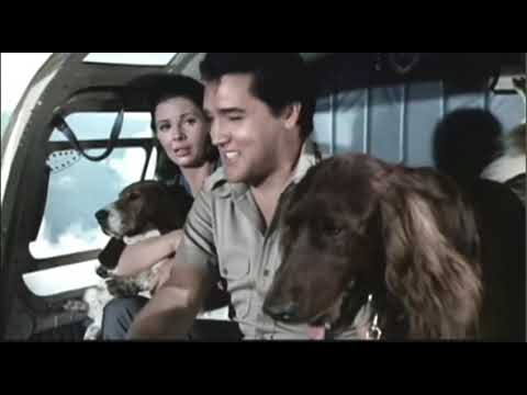 Cinemassacre - Angry Video Game Nerd (AVGN) - Top 10 Worst Top 10's