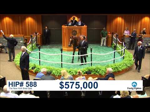 New York Bred Yearlings (2018): Hip 588 c. Pionerof the Nile sells for a record $600K