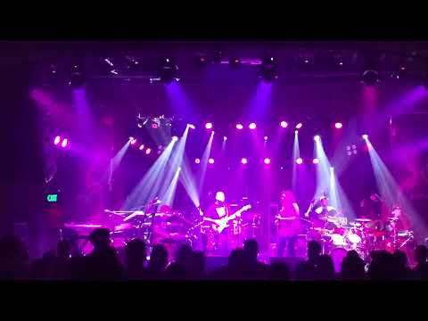 Toadstool 2025-10-10