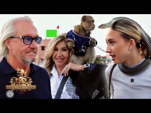 Wild Marrakech: Among monkeys and snakes?! 😱🐍 [Dubbed with AI] | The Geissens #427