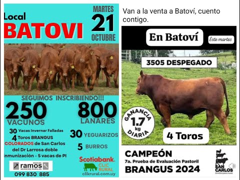 21/10/2025  Local Batoví - Tacuarembó - Escritorio Manuel Ramos