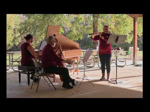 Raleigh Camerata live concert: JS Bach flute sonata e minor BWV 1034
