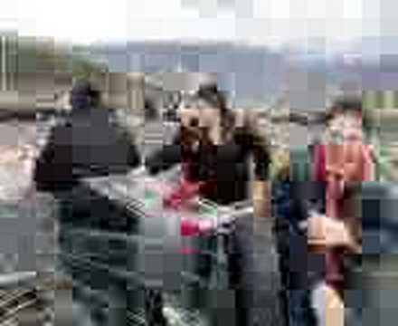 il matarro nel carello