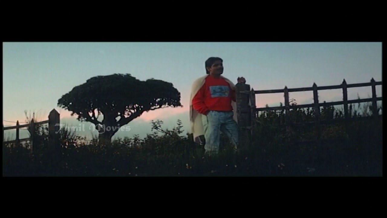 Kaviyam Padava Thendrale Song Lyrics | Idhayathai Thirudathe | Mano