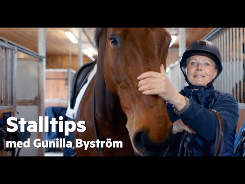 Stalltips med Gunilla Byström