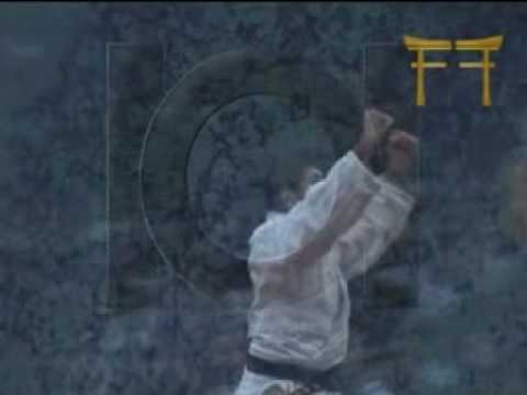 101 JUDO IPPONS 2003-2005