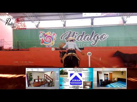 (Piales 2da Semifinal) Congreso y Campeonato Nacional Charro Hidalgo 2017.