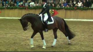 Video af Fürst Romancier