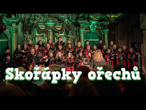 42 Skořápky ořechů - Žihelský sbor (cover by Marie Rottrová)