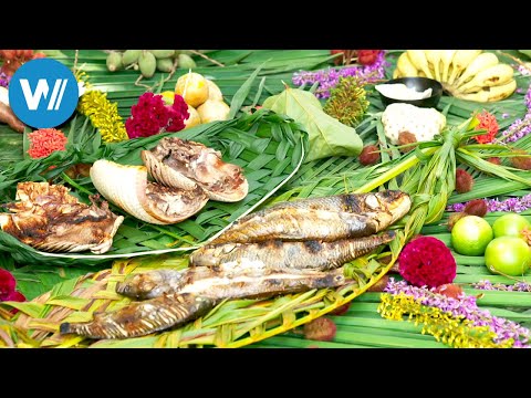 Brasiliens Regenwald, zurück in die Zukunft (ARTE 360° Reportage)