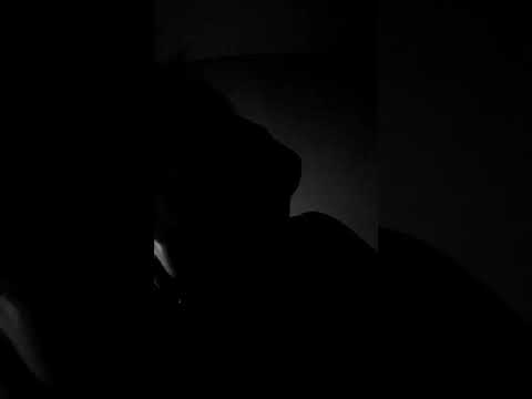 Kartky (BLACKOUT) Snippet #6