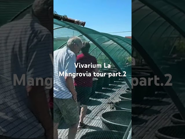 Vídeo relacionado con Garneck Estatua De Deidad Voladora Decoración De Rocalla Accesorio para Peceras
