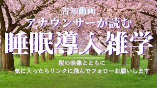 【睡眠導入雑学】【アナウンサーが読む】桜の映像 新チャンネルの告知動画