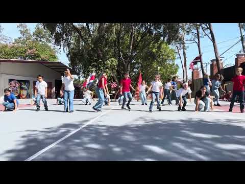 REPRESENTO -  Grade 4