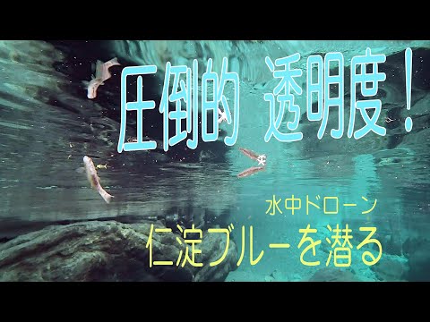 ぞぶりんがゆく「仁淀ブルー」の高知・安居渓谷