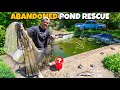 Saving FISH TURTLES From ABANDONED Backyard POOL