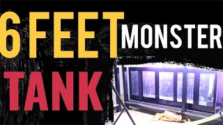 6 Feet Monster Tank Sump build Part 4
