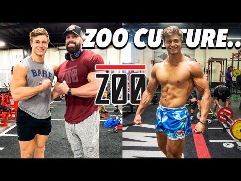 FULL SQUAT, BENCH, DEADLIFT WORKOUT AT ZOO CULTURE!! | Return to the Stage