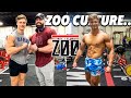 FULL SQUAT, BENCH, DEADLIFT WORKOUT AT ZOO CULTURE!! | Return to the Stage