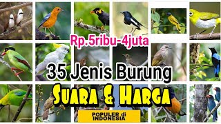 Download lagu 35 Types of Popular Singing Birds in Indonesia and Their Market Prices (2022) mp3 Download lagu 35 Types of Popular Singing Birds in Indonesia and Their Market Prices (2022) mp3