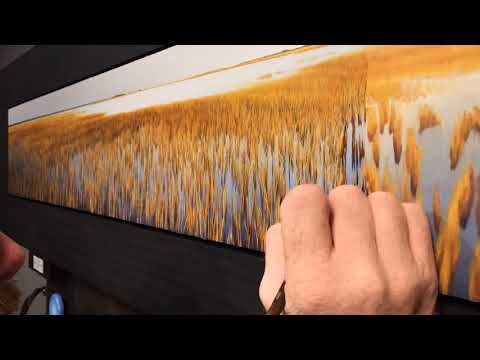 Painting Marsh Grass
