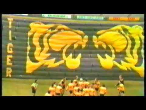 1989 VFL Under 19’s Grand Final - Richmond vs North Melbourne