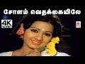 Solam Vithaikkaiye 4k 16 வயதினிலே பட பாடல் சோளம் வெத�