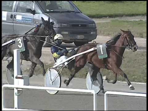 Trotto 01/02/2015 - 1° Corsa