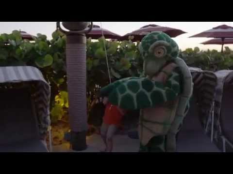 download lagu mp3 mp4 Florida Resorts With Kid Camps, download lagu Florida Resorts With Kid Camps gratis, unduh video klip Florida Resorts With Kid Camps