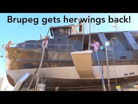 Brupeg gets her wings back - Ep.309