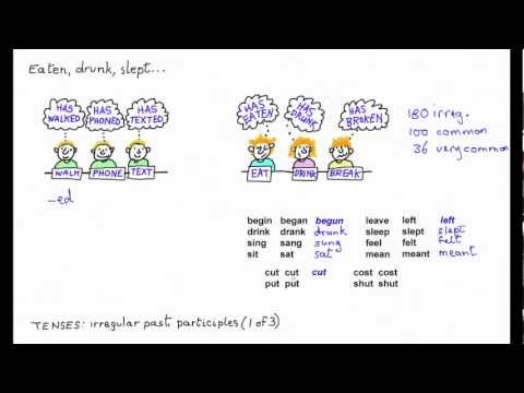 Learn English - irregular past participles 1 ("has begun, has sung")