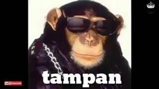 Download lagu Lagi syantik vs tampan#1 mp3