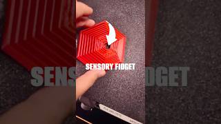 I 3D printed a sensory toy