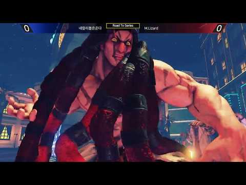 Road to TW Fighter Major 2017