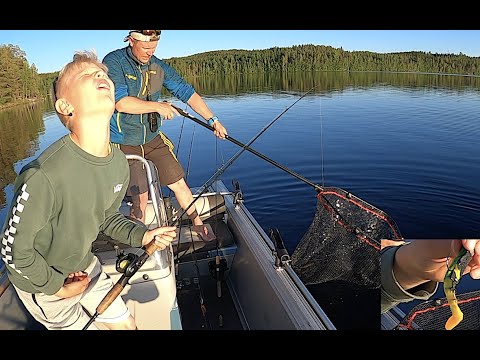 Kiukkuinen 4,5 kg:n hauki ahvenjigillä. Angry Lake Pike With A Perch Lure