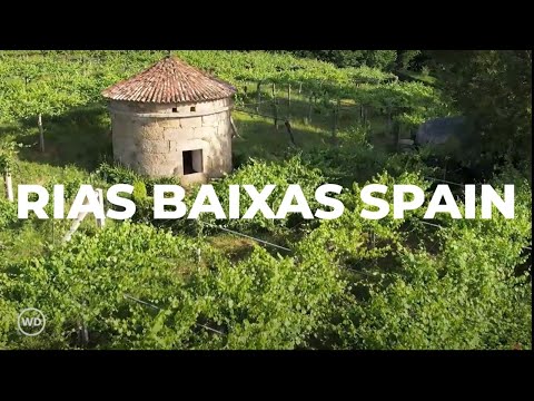 Exploring The Home Of Albariño Wine