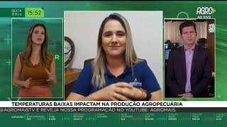 Miniatura do vídeo