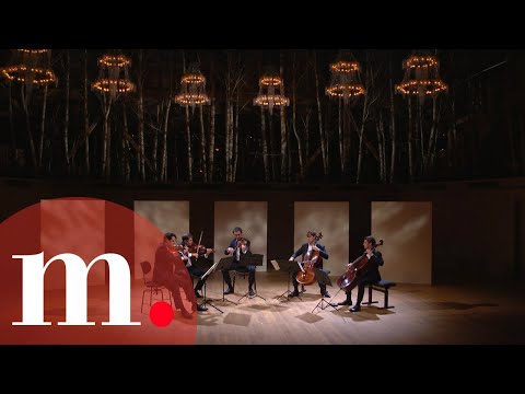 The Modigliani Quartet & Gautier Capuçon - Schubert: Quintet in C Major