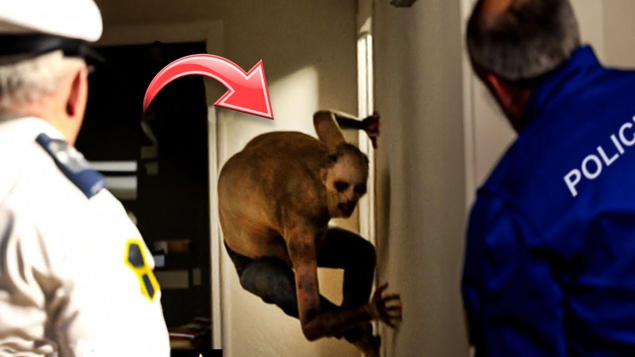 The TERRIFYING Creatures Caught by Police Officers!