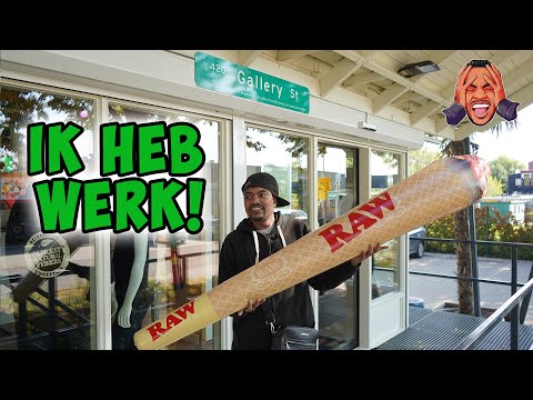 DJD VI - I Have a Job! #6