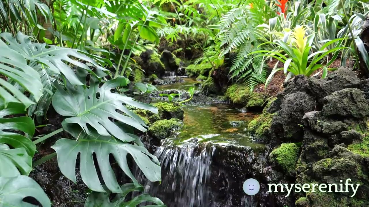 Exploring Rockingham Headspace: A Guide to Mindful Living