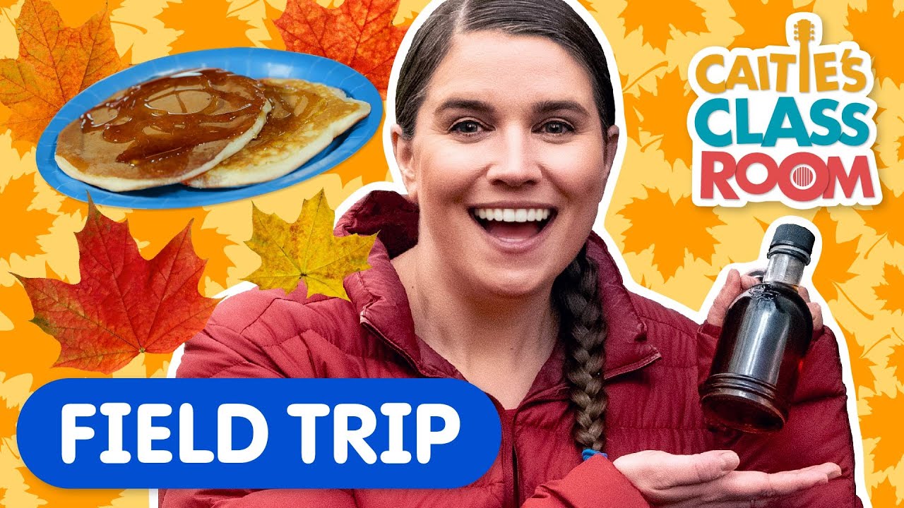 Learn About Making Maple Syrup! | Caitie's Classroom Field Trip | Super Simple Play
